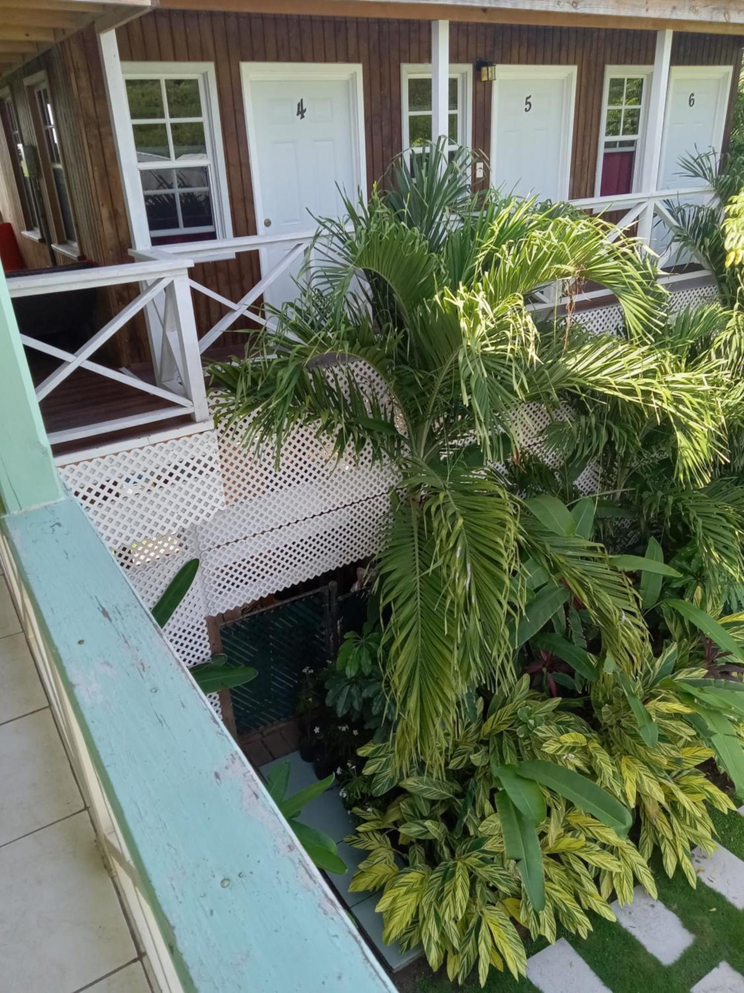 Apartment Unforgetable Gardens Falmouth Harbour 外观 照片