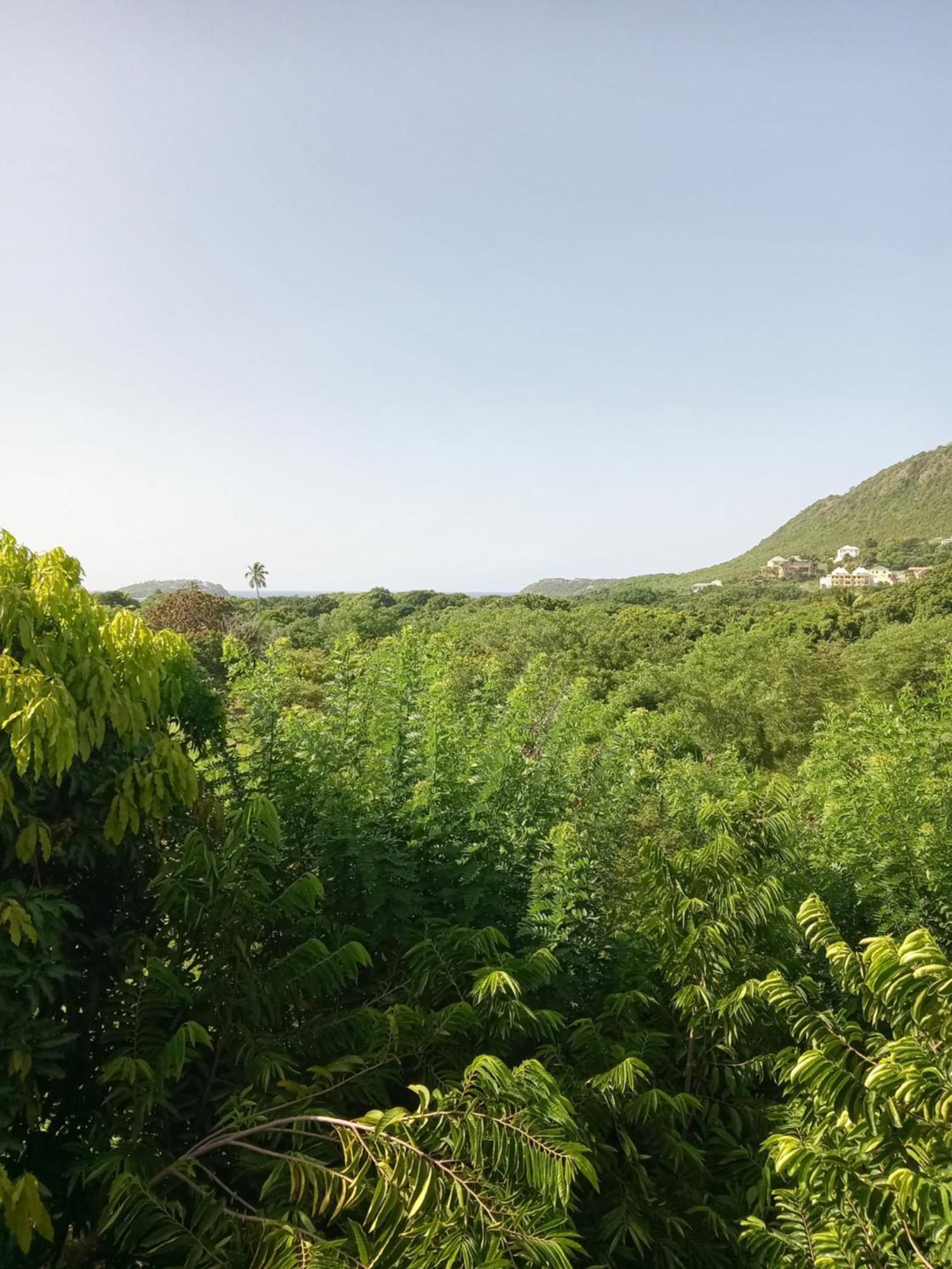 Apartment Unforgetable Gardens Falmouth Harbour 外观 照片