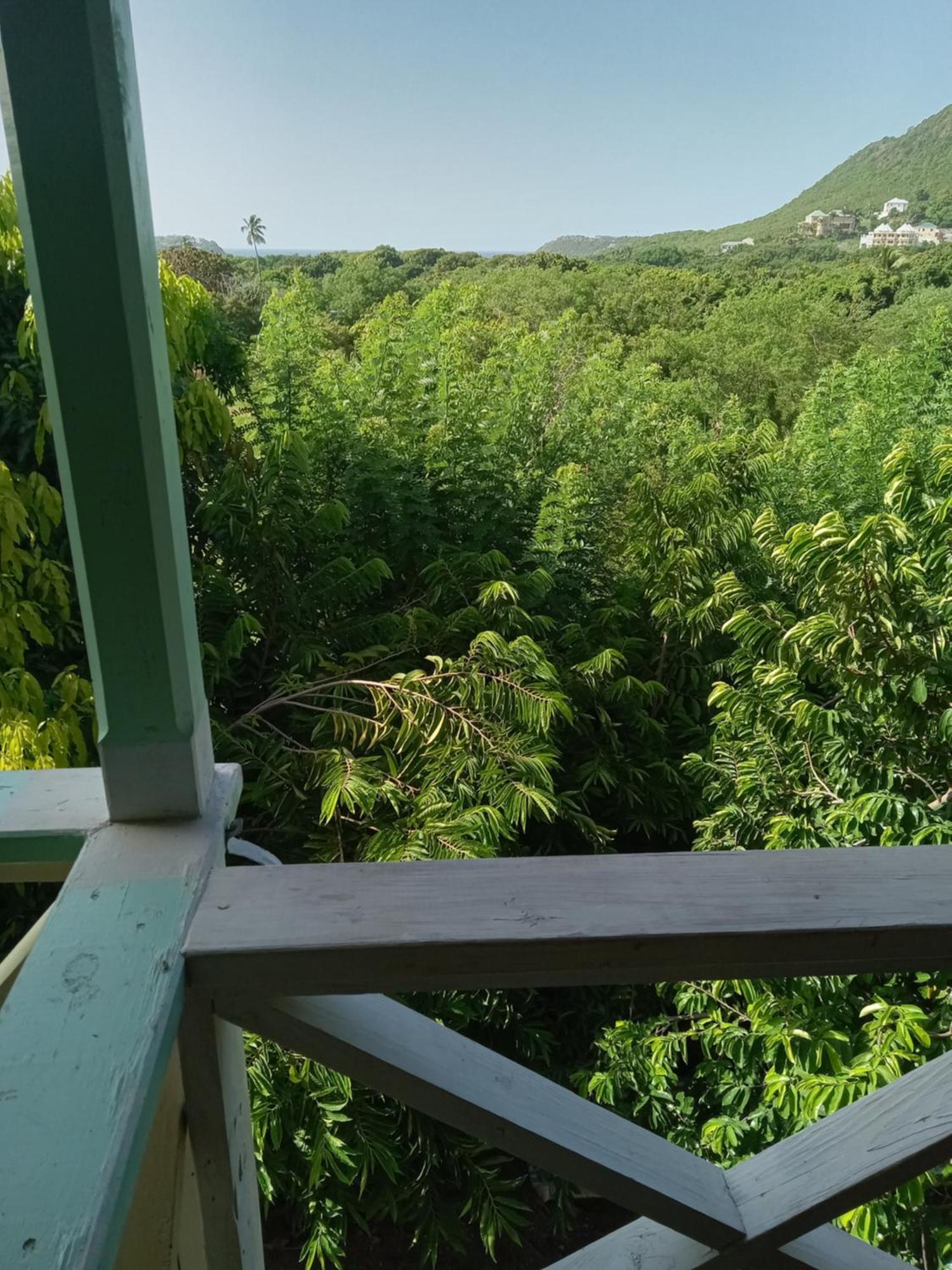 Apartment Unforgetable Gardens Falmouth Harbour 外观 照片