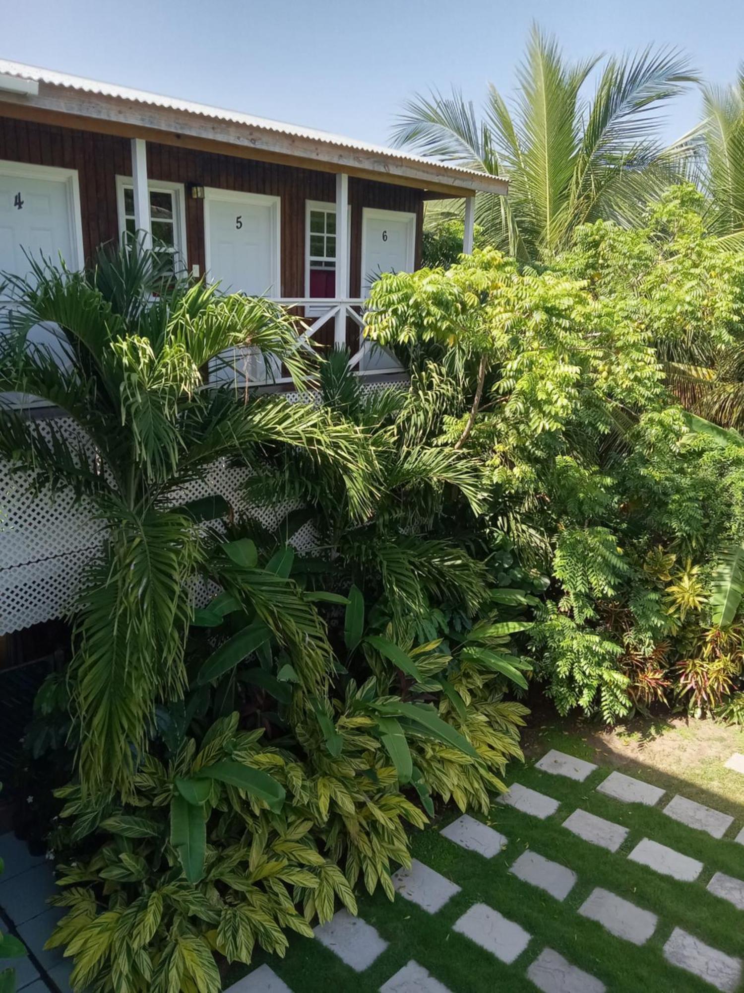 Apartment Unforgetable Gardens Falmouth Harbour 外观 照片