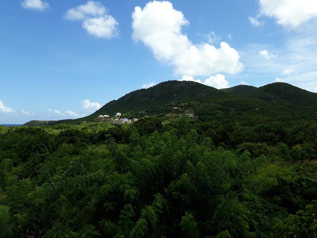 Apartment Unforgetable Gardens Falmouth Harbour 外观 照片