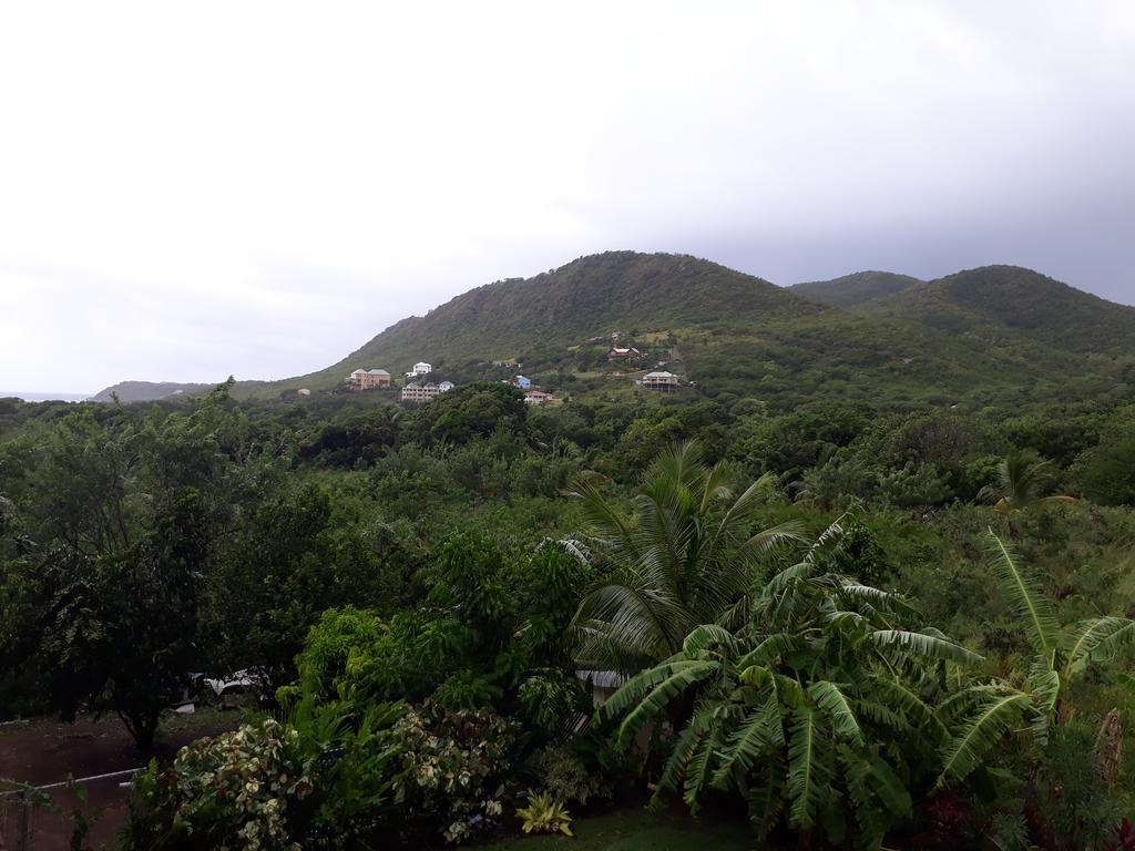 Apartment Unforgetable Gardens Falmouth Harbour 外观 照片